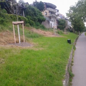 Eine Schande was verantwortungsloste Personen anrichten