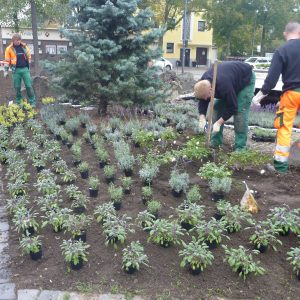 Bepflanzung Poller Markplatz