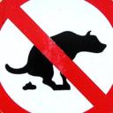 Hundefreilauffläche verlagert